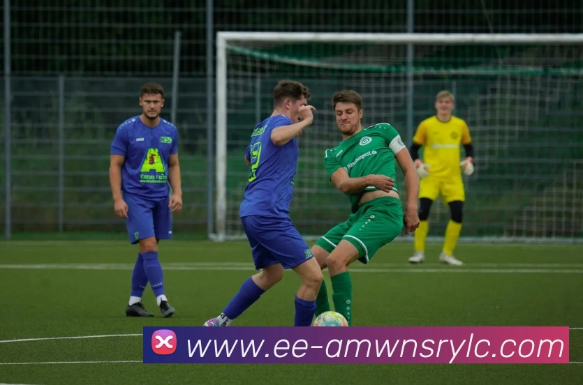 威尼斯人线上娱乐平台生态图